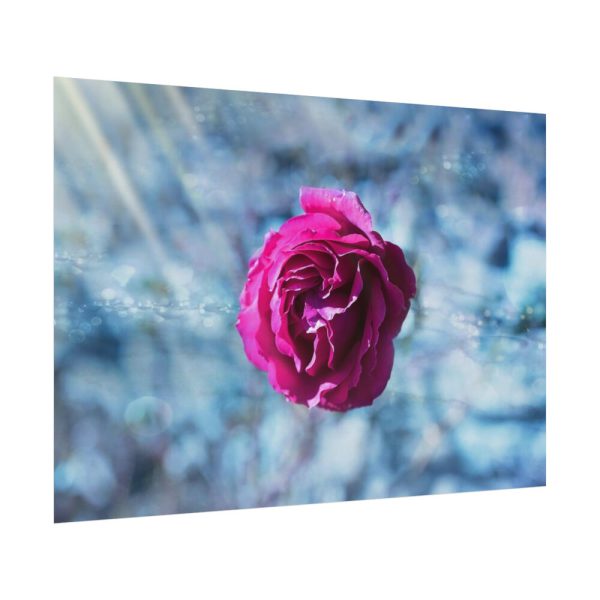 92408-122.jpg Garden Roses Poster