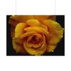 92408-129.jpg Drop of Water Poster