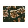 92408-136.jpg Brown Aesthetic Poster