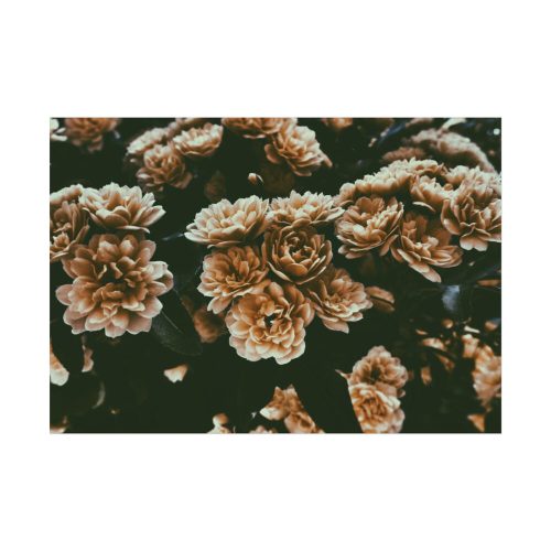 Brown Aesthetic Poster