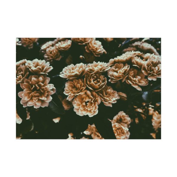 92408-136.jpg Brown Aesthetic Poster
