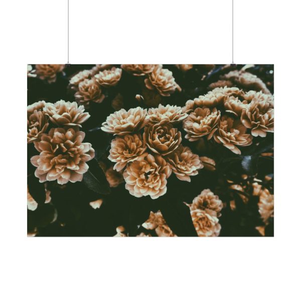 92408-137.jpg Brown Aesthetic Poster