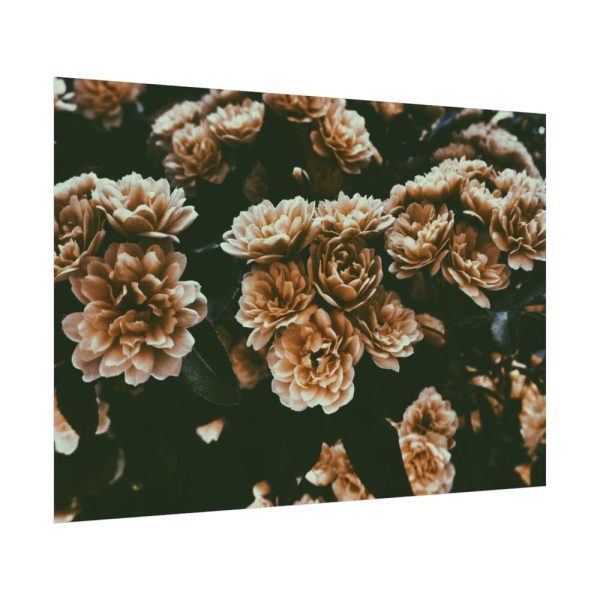 92408-138.jpg Brown Aesthetic Poster