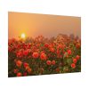 Barn in Smokey Orange Sky Poster
