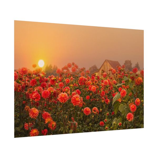 Barn in Smokey Orange Sky Poster