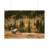 92408-157.jpg Woden Barn in Forest Poster
