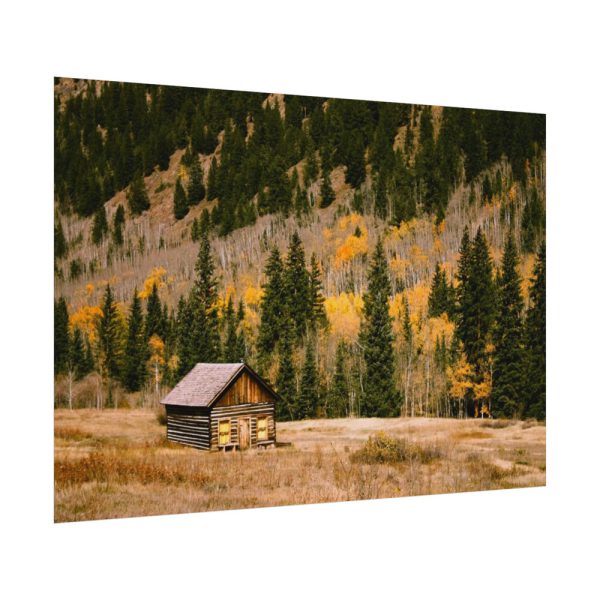 92408-158.jpg Woden Barn in Forest Poster