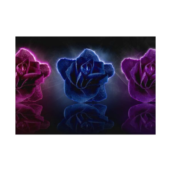 92408-160.jpg Rose Flower Blossom Poster