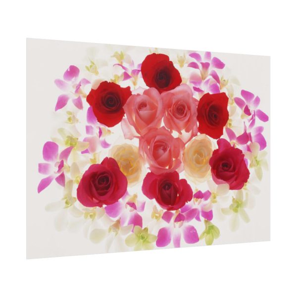 92408-166.jpg Summer Blossom Poster