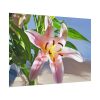 92408-174.jpg Pink Lily Poster