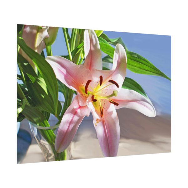 92408-174.jpg Pink Lily Poster