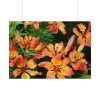 Orange Lily Poster