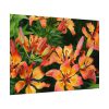 Orange Lily Poster