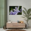 Purple White Glowing Lily Poster