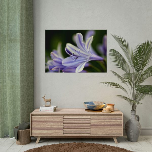 Purple White Glowing Lily Poster