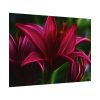 Pink Bloom Lily Poster