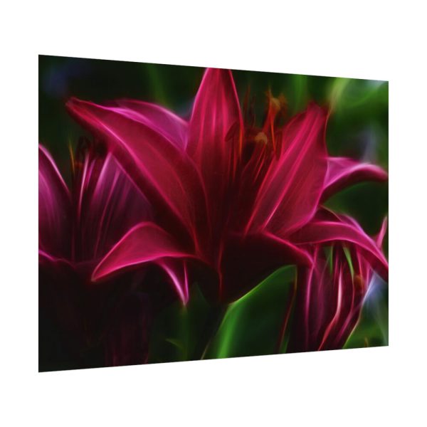Pink Bloom Lily Poster