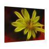 Yellow Flower Poster