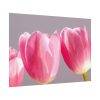 92408-214.jpg Pink Tulip Poster