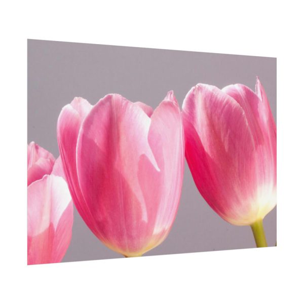 92408-214.jpg Pink Tulip Poster