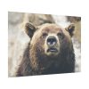 Head of Grizzly Bear Poster