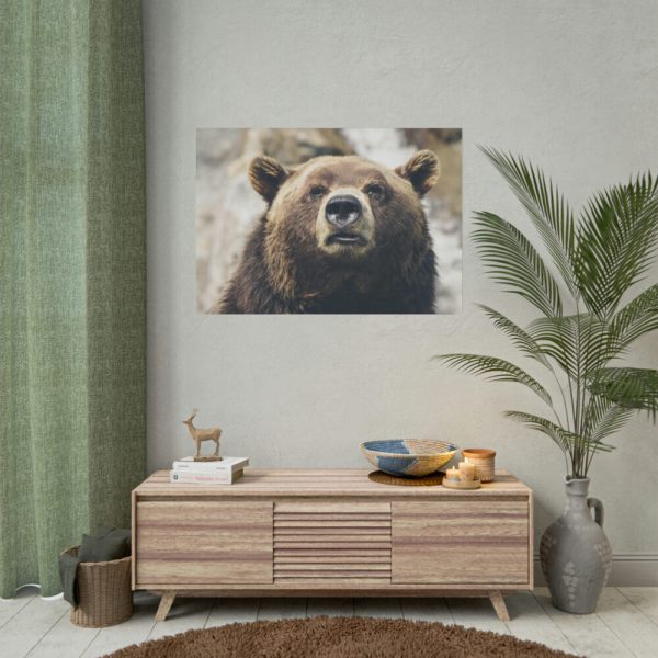 Head of Grizzly Bear Poster
