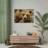 92408-231.jpg Bear is Resting Poster