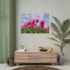 Tulip Beauty Poster