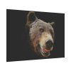 92408-242.jpg Face of Bear Poster