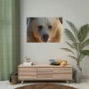 Bear Close up Poster