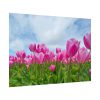 92408-254.jpg Pink Tulip Poster