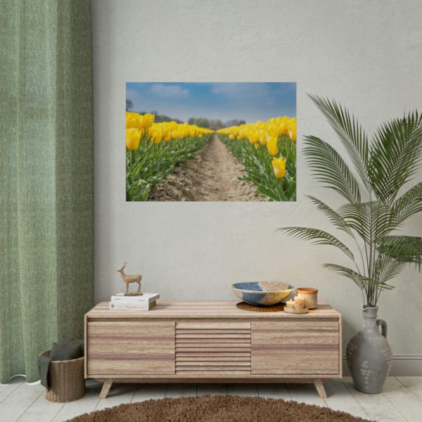 Yellow Tulip Poster