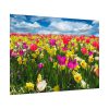 Tulips Beautiful Poster