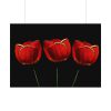 Flowering Plant Poster