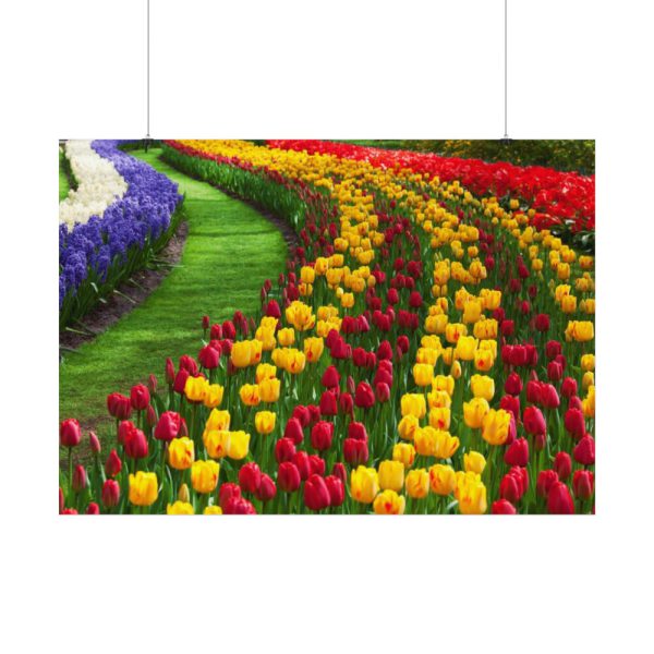 92408-273.jpg Beautiful Blossoms Poster