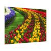 92408-274.jpg Beautiful Blossoms Poster
