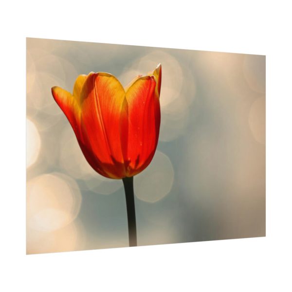 Sunny Poster