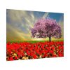 Signs of Spring Poster