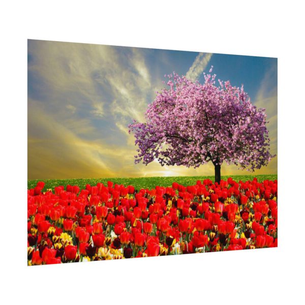Signs of Spring Poster