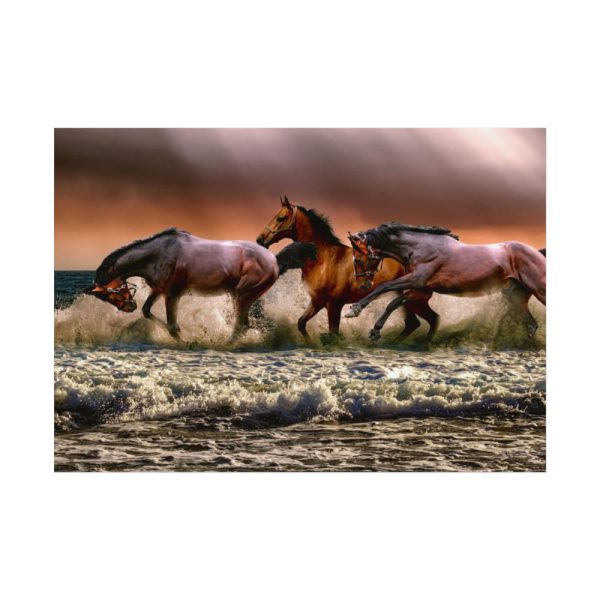 92408-297.jpg Australian Horses Poster