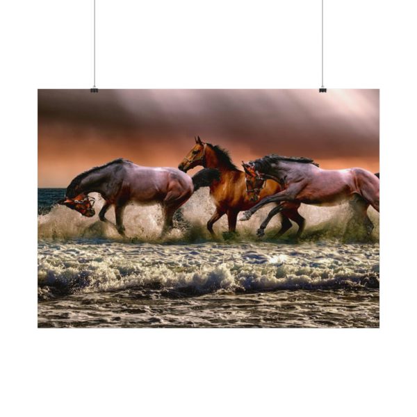 92408-298.jpg Australian Horses Poster