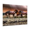 92408-299.jpg Australian Horses Poster