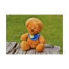 92408-317.jpg Bear with a Hat Poster