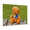 92408-319.jpg Bear with a Hat Poster