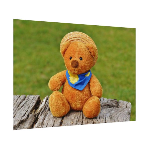 92408-319.jpg Bear with a Hat Poster
