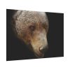 92408-324.jpg Bear Head Artistic Poster