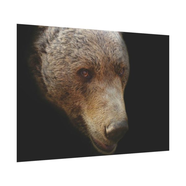 92408-324.jpg Bear Head Artistic Poster