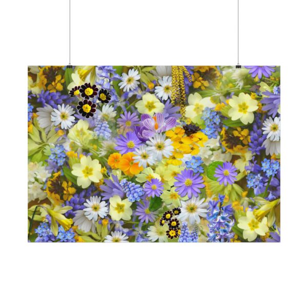 92408-348.jpg Daisy Flower Background Poster