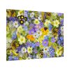 92408-349.jpg Daisy Flower Background Poster