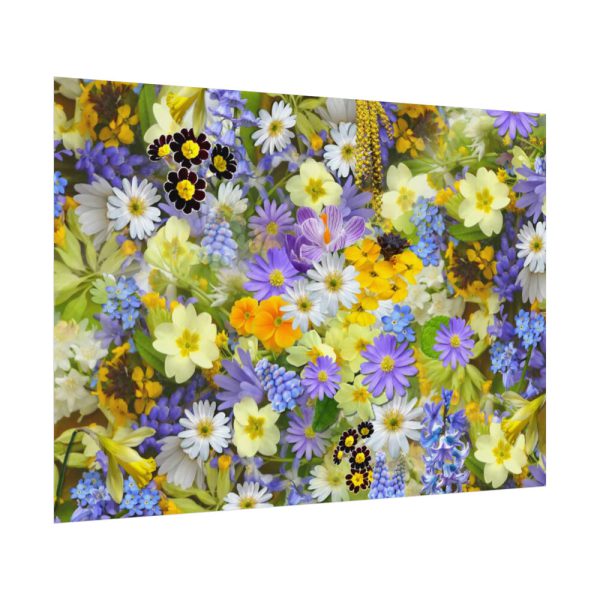 92408-349.jpg Daisy Flower Background Poster